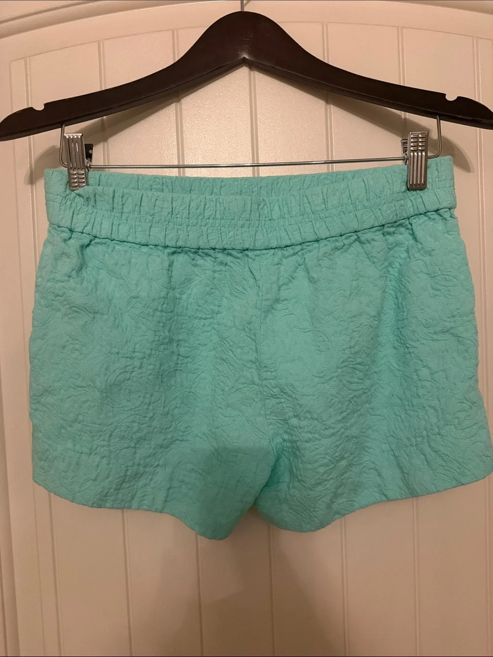 J. Crew Quilted Mint Shorts